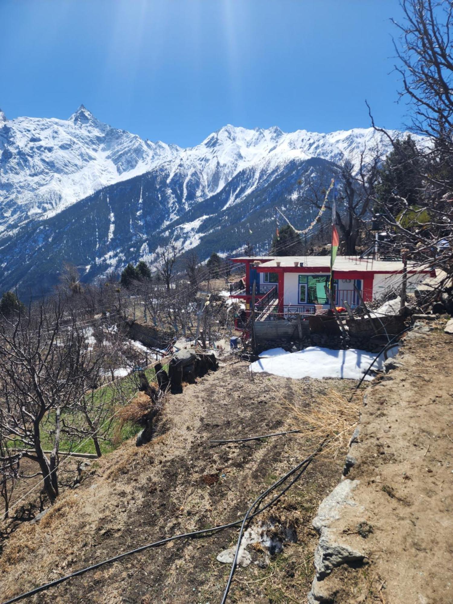 Safarnama Retreat Homestay - All Rooms With Mountain View 칼파 외부 사진